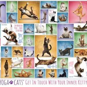 Eurographics 6000-0953 - Yoga Katzen , Puzzle, 1.000 Teile