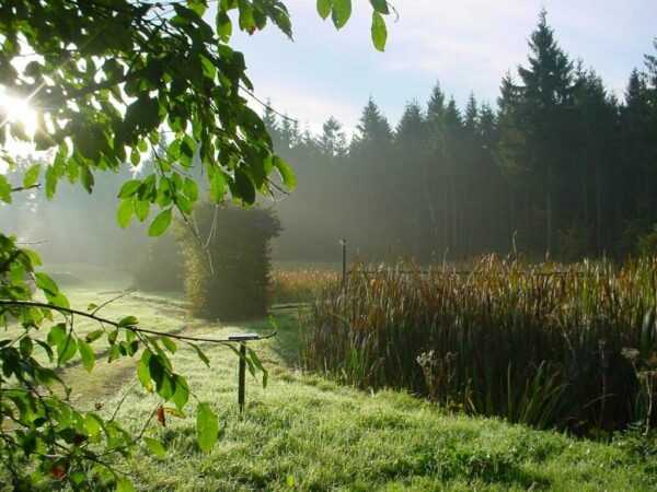 Yoga Natur und DU - 4 Tage im wunderschönen Erzgebirge