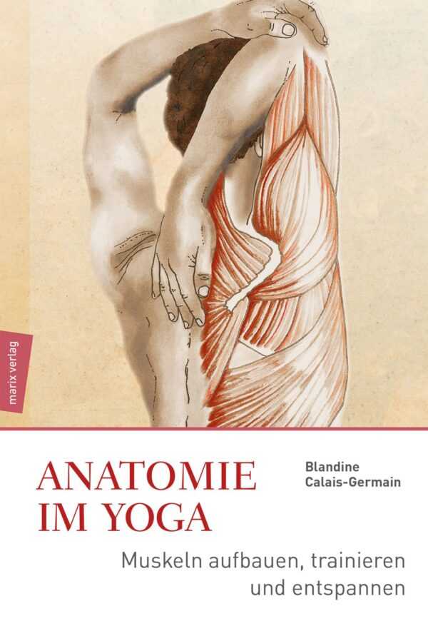 Anatomie im Yoga