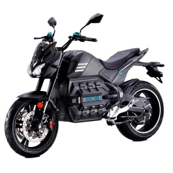 DAYI E-Motorrad E-ODIN, 8000,00 W, 110 km/h, Keyless Go, Alarmanlage, Optionale Koffer möglich