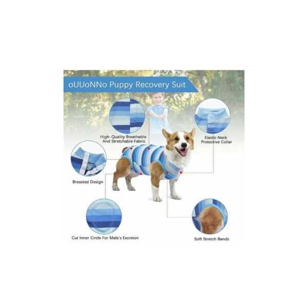 Eting - Recovery Suit for Puppy Dog Surgical Recovery Suit for Abdominal Wounds or Skin Diseases Male Female Anti-Licking Dog Onesies