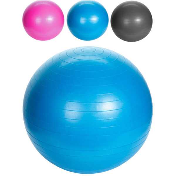 Xqmax - Yoga-Ball anti-explosiv 55cm farblich sortiert