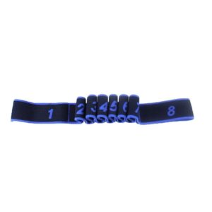 The Fitness Outlet | Stretch Band Gymnastikband mit 11 Schleifen fuer Yoga Blau