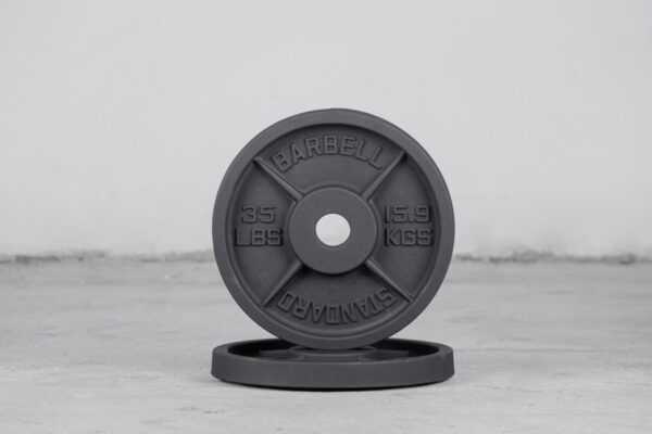 STANDARD BARBELL IRON PLATES - 1lbs 15.9 kg