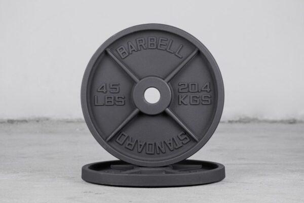 STANDARD BARBELL IRON PLATES - 1lbs 20.4 kg