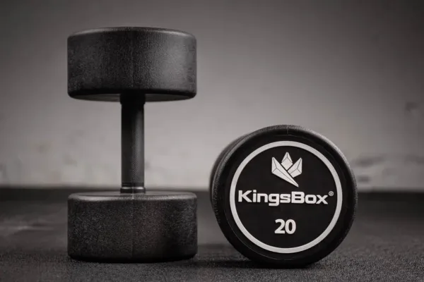 Kingsbox | Round Dumbbells 50 kg