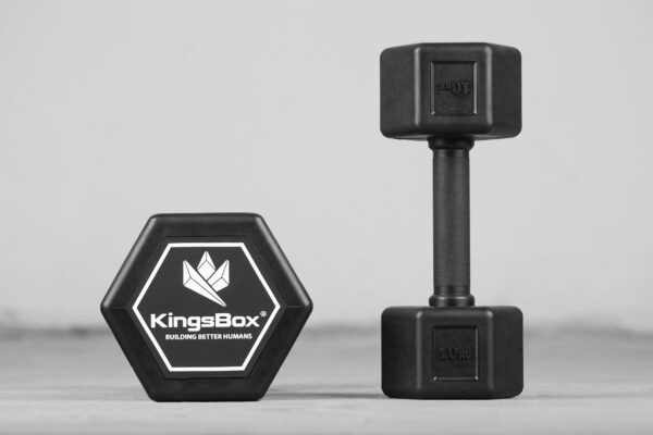 Kingsbox | Rubber Grip Dumbbells 22.5 kg