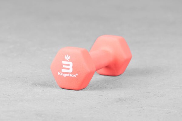 Kingsbox | Vinyl Rubber Dumbbell 3 kg