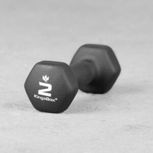 Kingsbox | Vinyl Rubber Dumbbell 2 kg