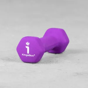 Kingsbox | Vinyl Rubber Dumbbell 1 kg