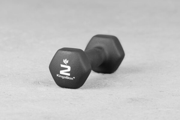 Kingsbox | Vinyl Rubber Dumbbell 2 kg